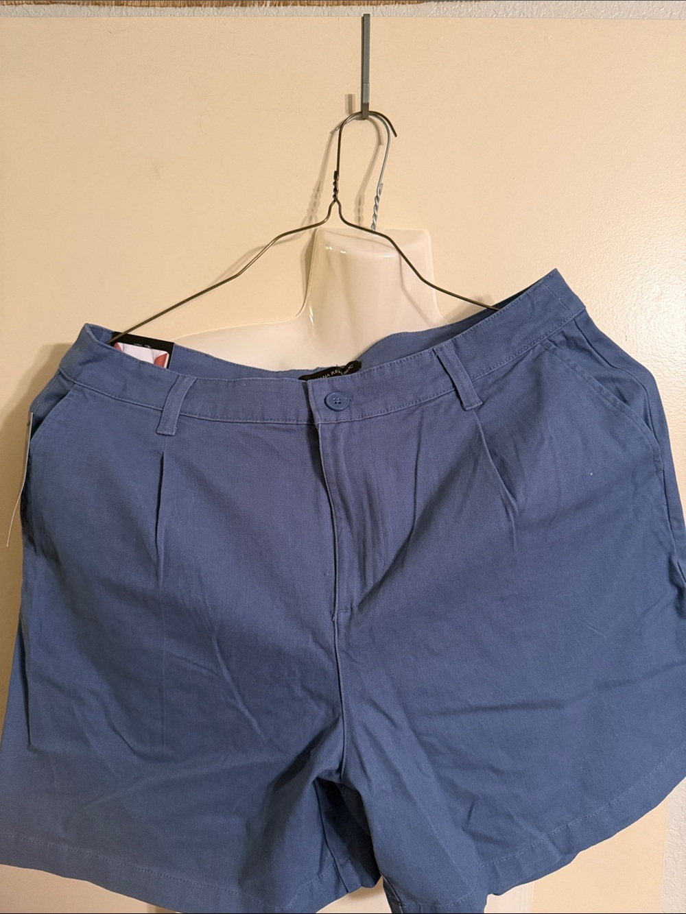 Banana Republic Slate Blue Women's Pleated Shorts